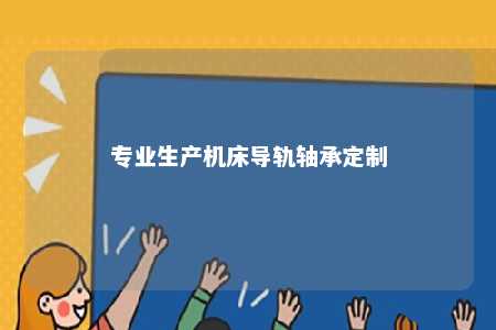 专业生产机床导轨轴承定制 