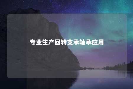 专业生产回转支承轴承应用 